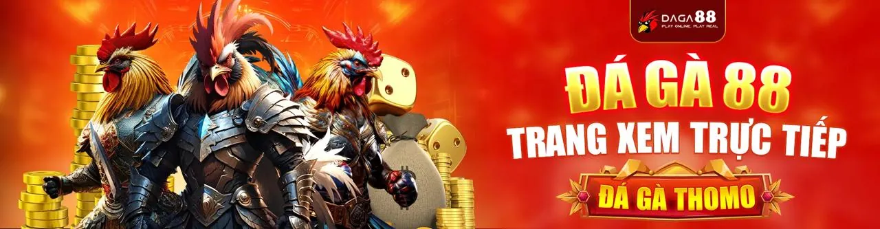 Sân đấu gà 67 trực tuyến sôi động